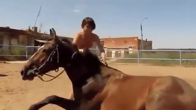 馬に乗るのがへったくそな女 馬が呆れて背を低くし「さっさと乗れ」と 