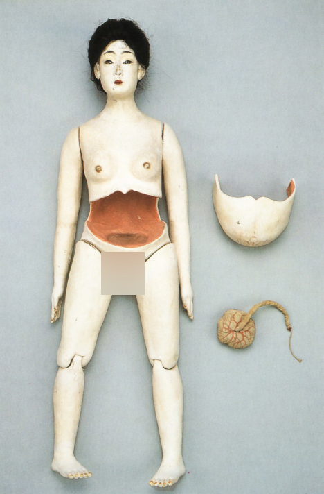 19世紀の妊娠人形