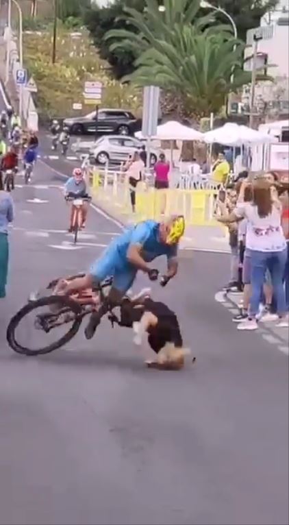 自転車レースで女性が事故