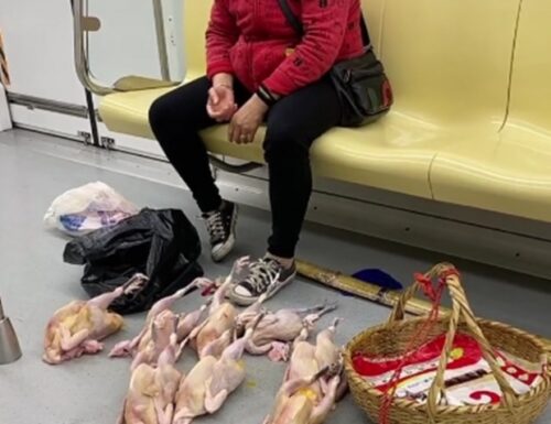 中国　地下鉄の中で鶏肉販売